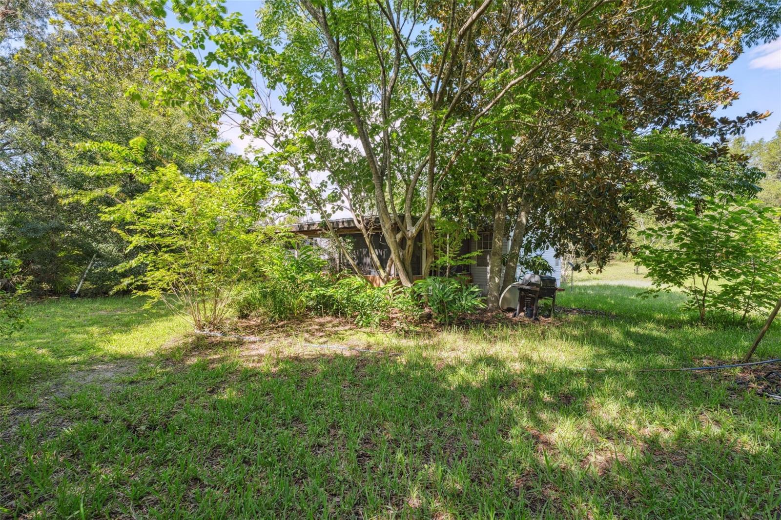 Listing photo id 39 for 9850 Appaloosa Avenue