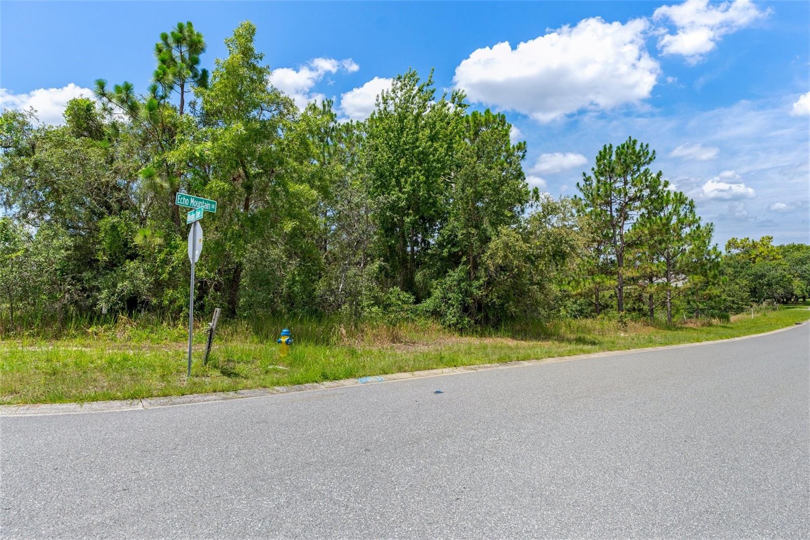 Image 18 of 19 For 00 Winding Oaks Boulevard