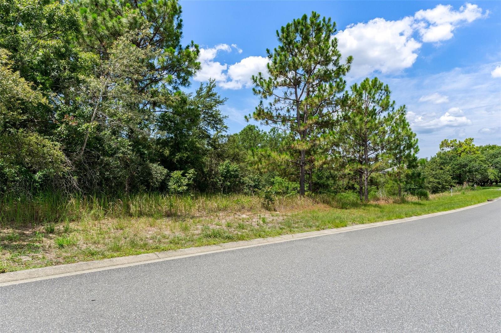 Image 19 of 19 For 00 Winding Oaks Boulevard