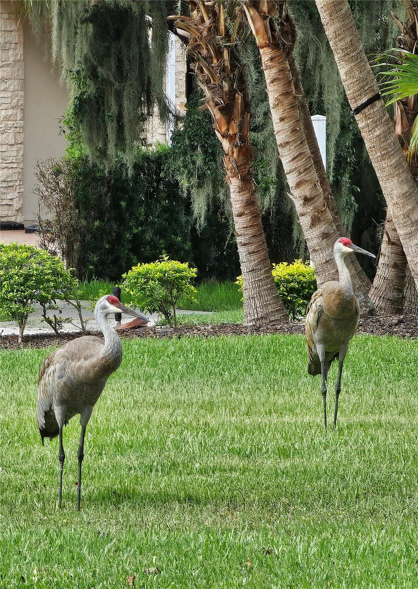 Image 54 of 55 For 3612 Northwoods Drive