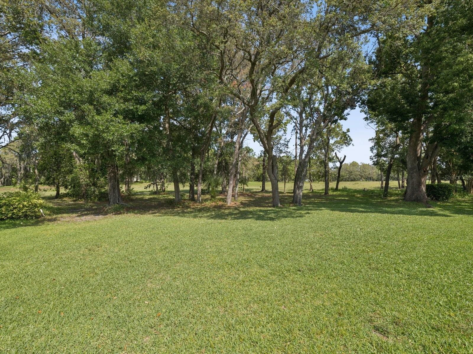 Image 8 of 41 For 489 Tournament Drive