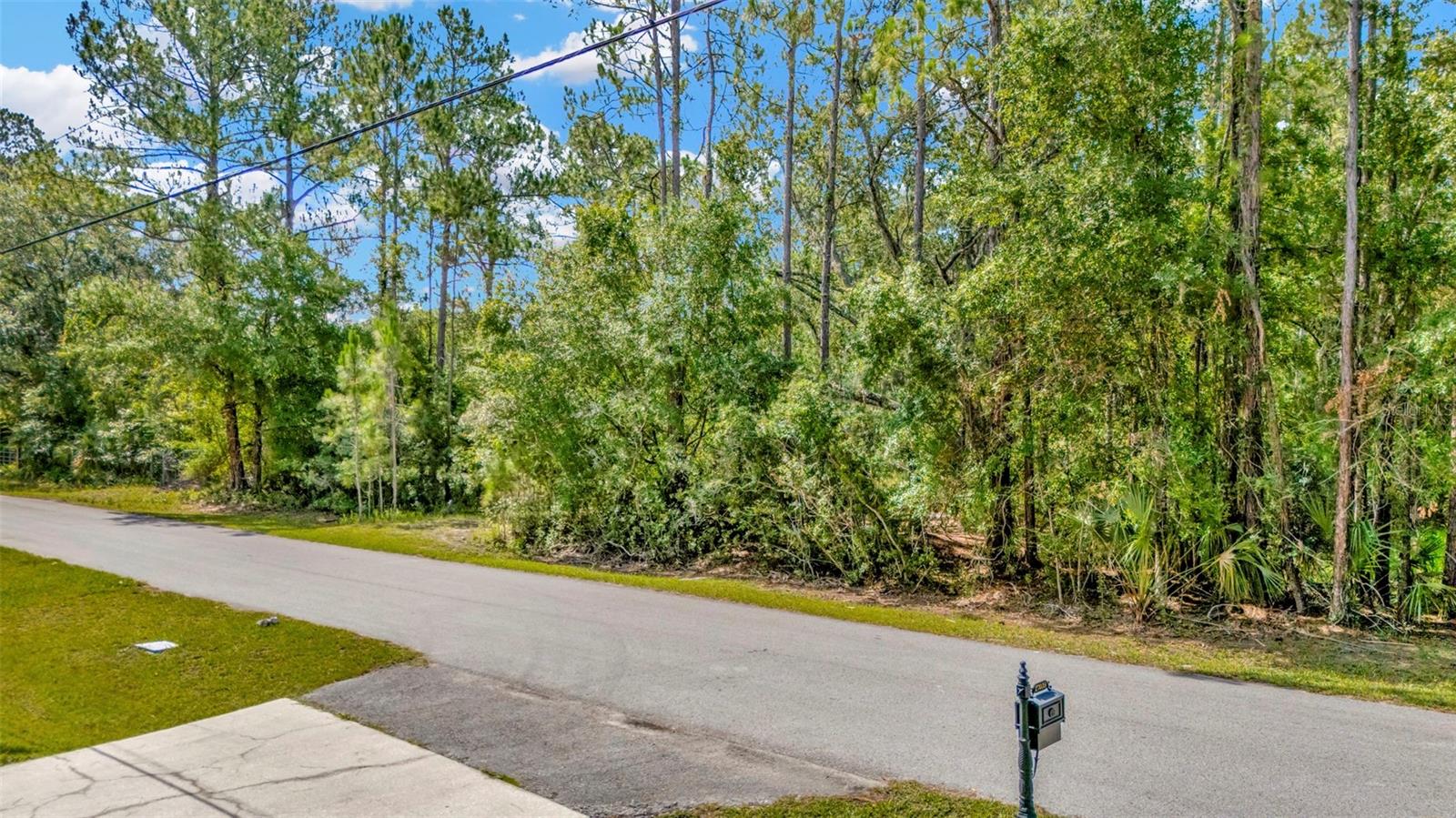 Image 3 of 11 For 27422 Green Willow Run