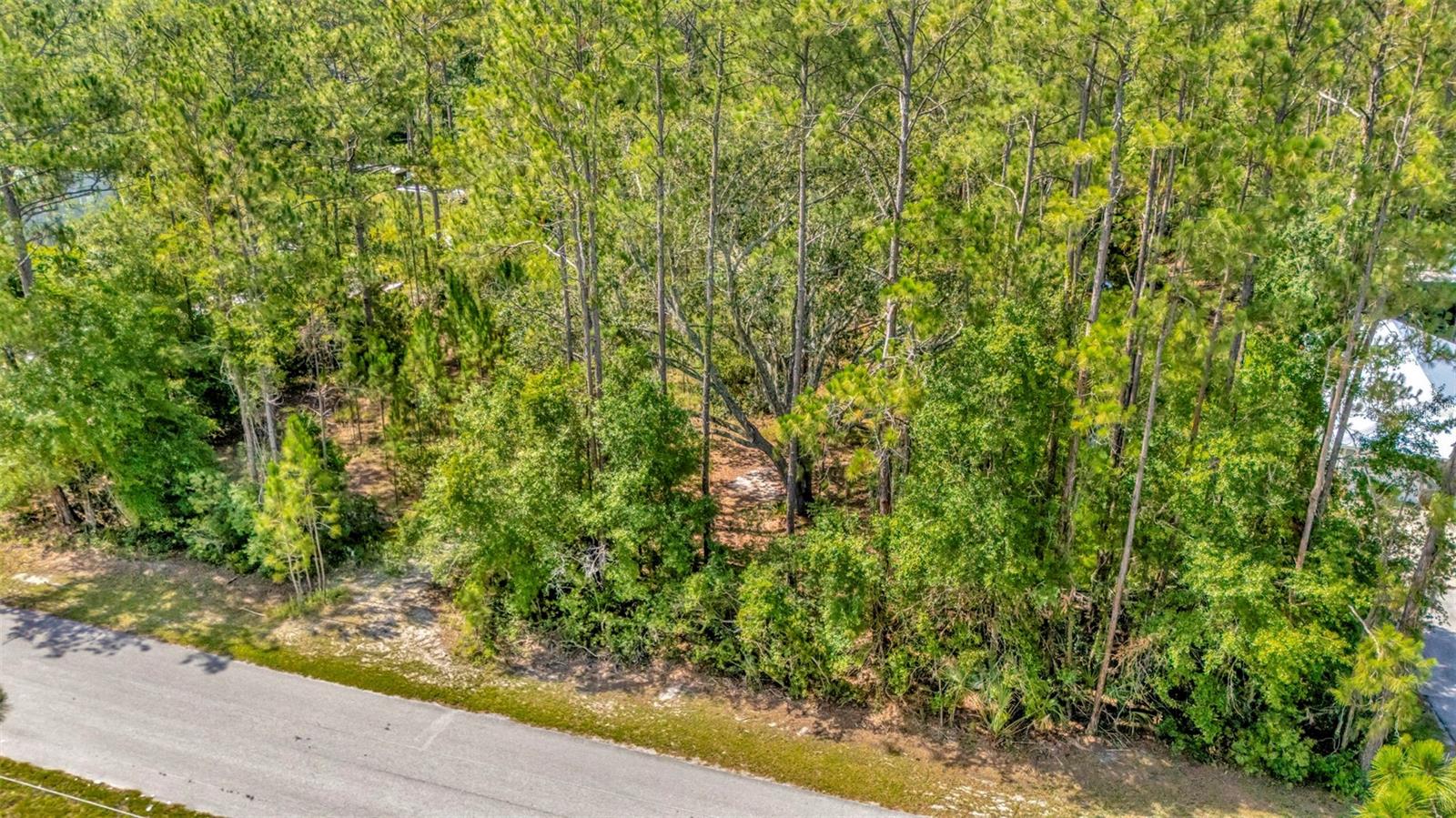 Image 4 of 11 For 27422 Green Willow Run
