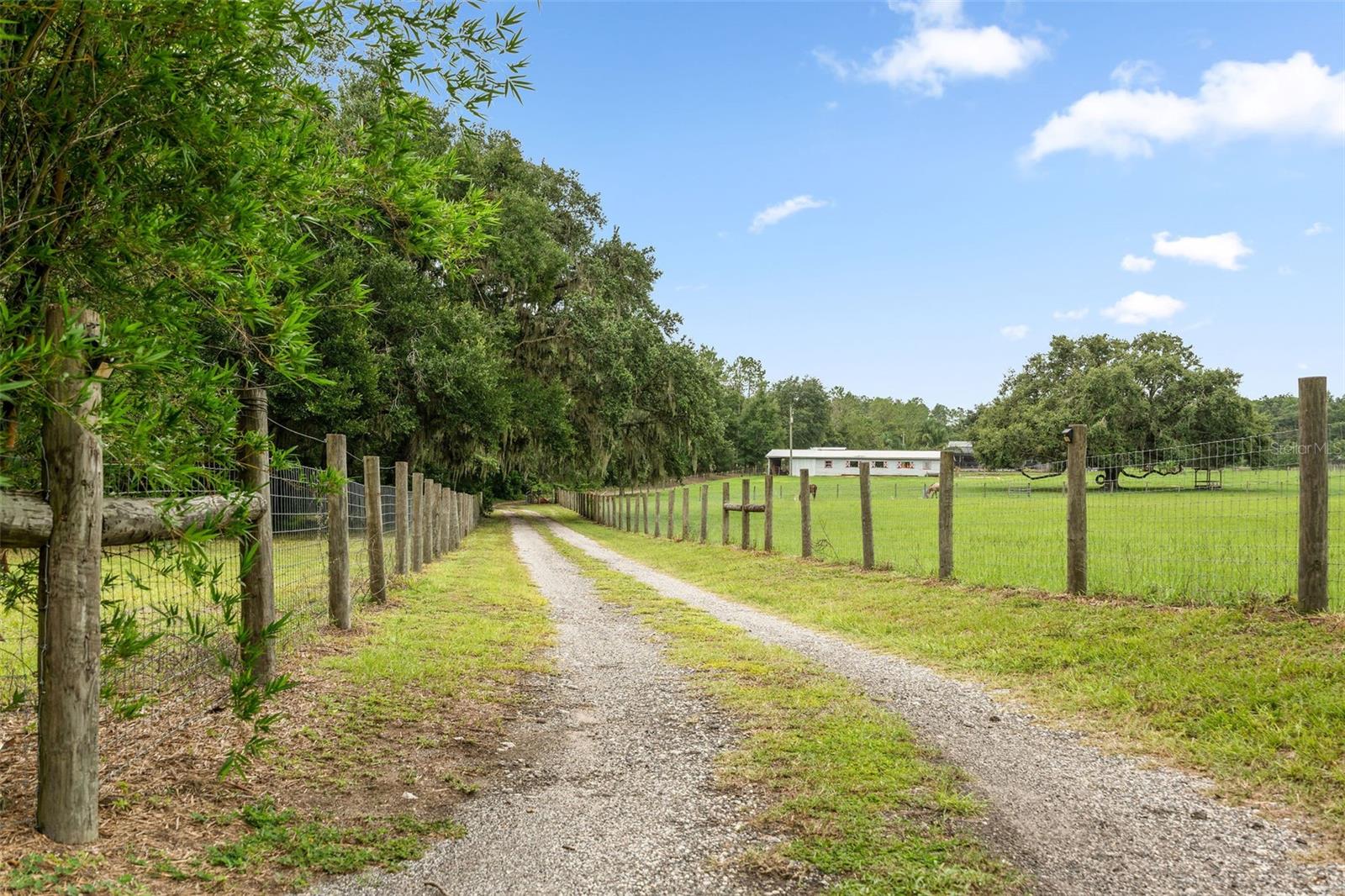 Listing photo id 19 for 34955 Blanton Road