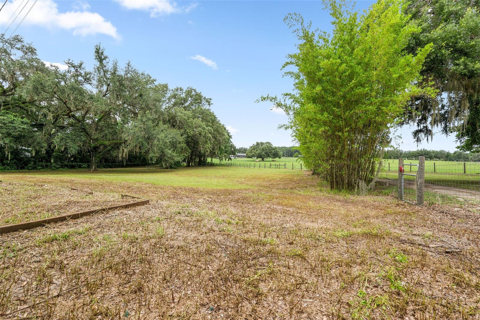 Listing photo id 20 for 34955 Blanton Road