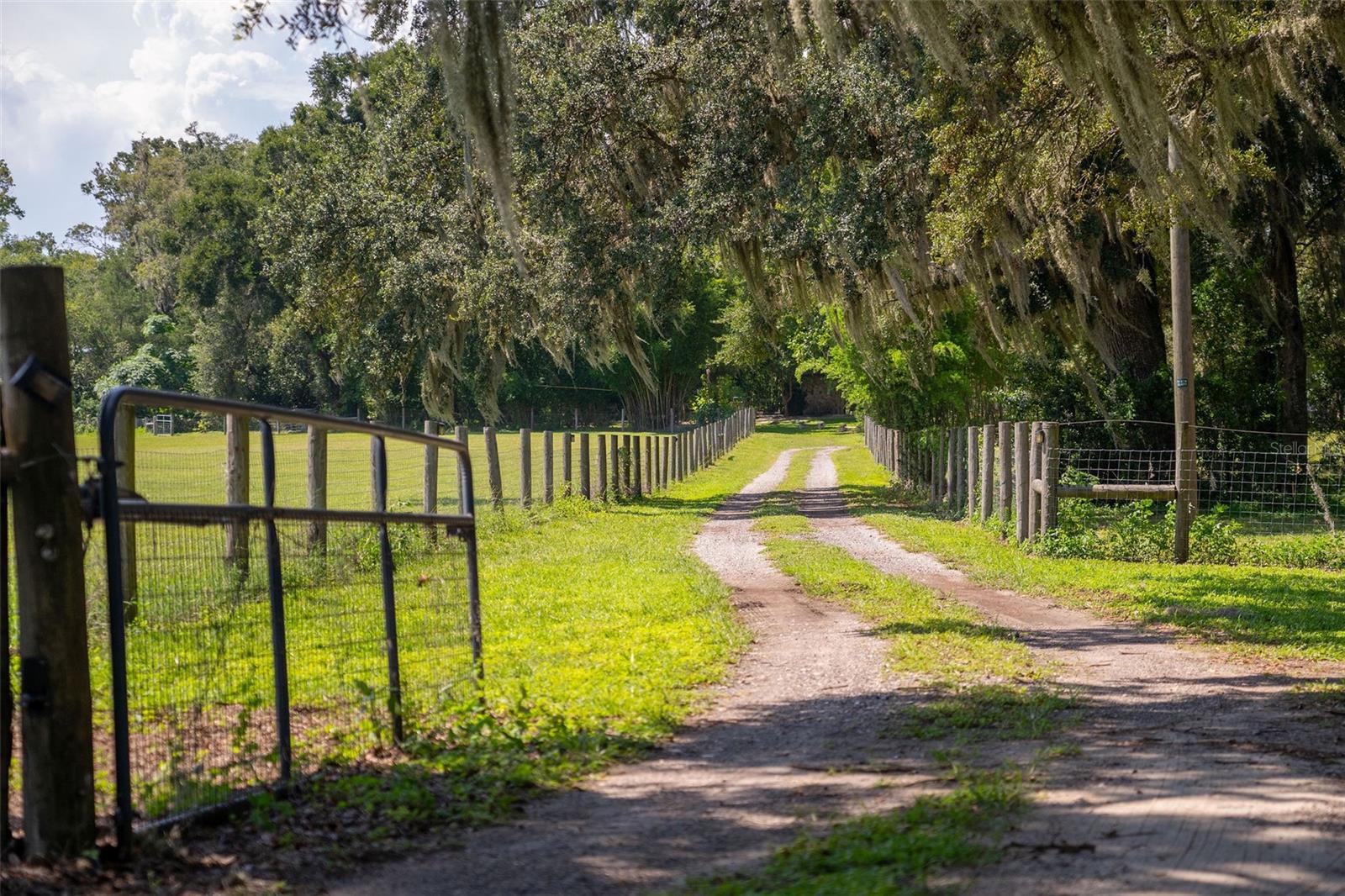 Image 35 of 45 For 34955 Blanton Road