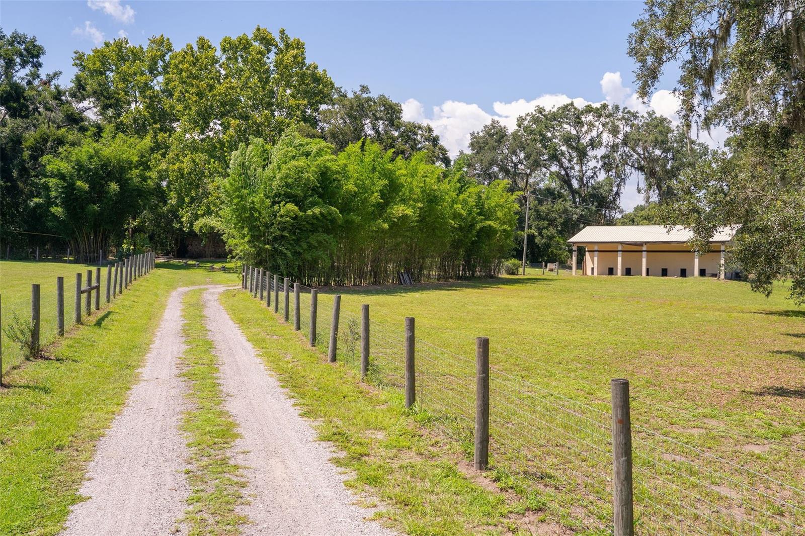 Image 36 of 45 For 34955 Blanton Road