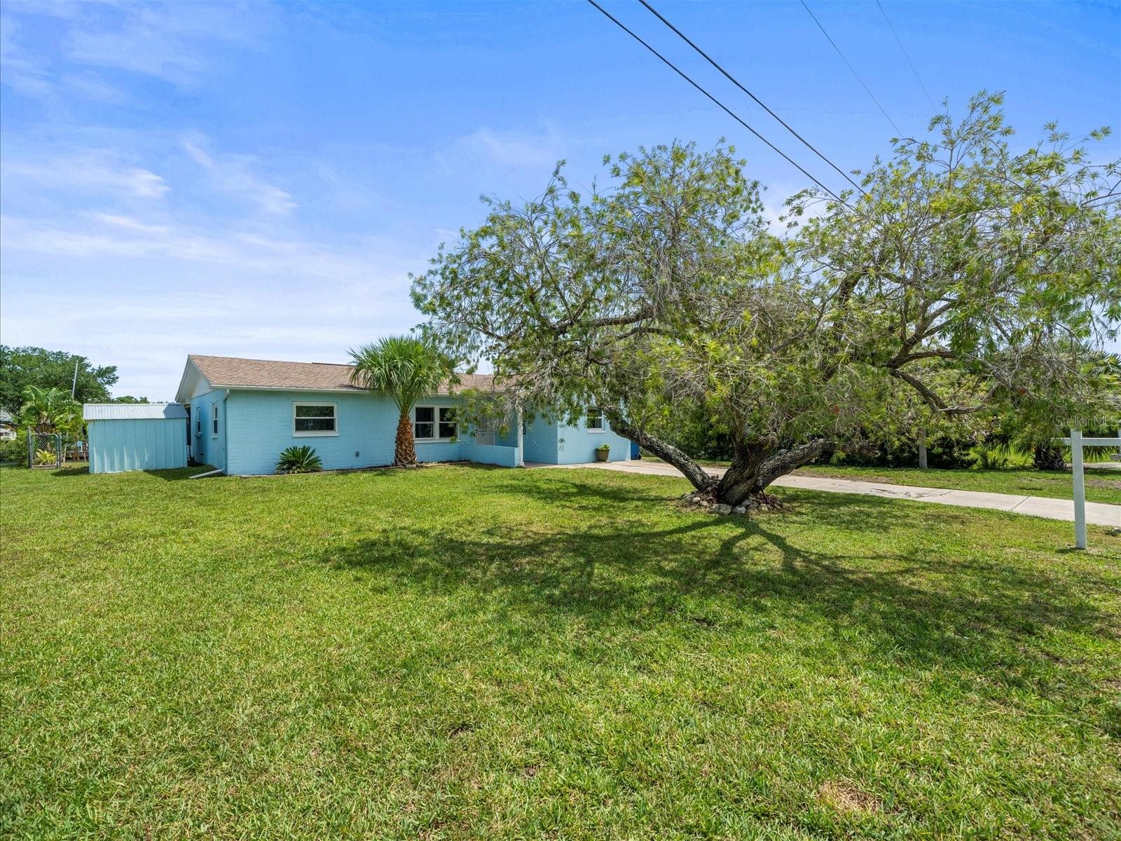 Listing photo id 50 for 4331 Tahiti Drive