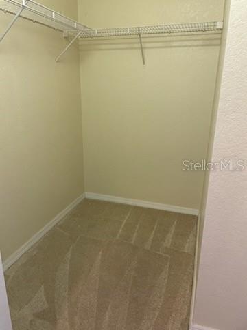 Image 12 of 21 For 700 Harbour Island Boulevard 407