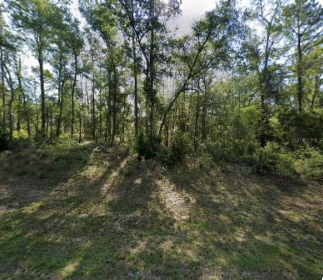 Listing Details for 8965 Lily Drive, DUNNELLON, FL 34434