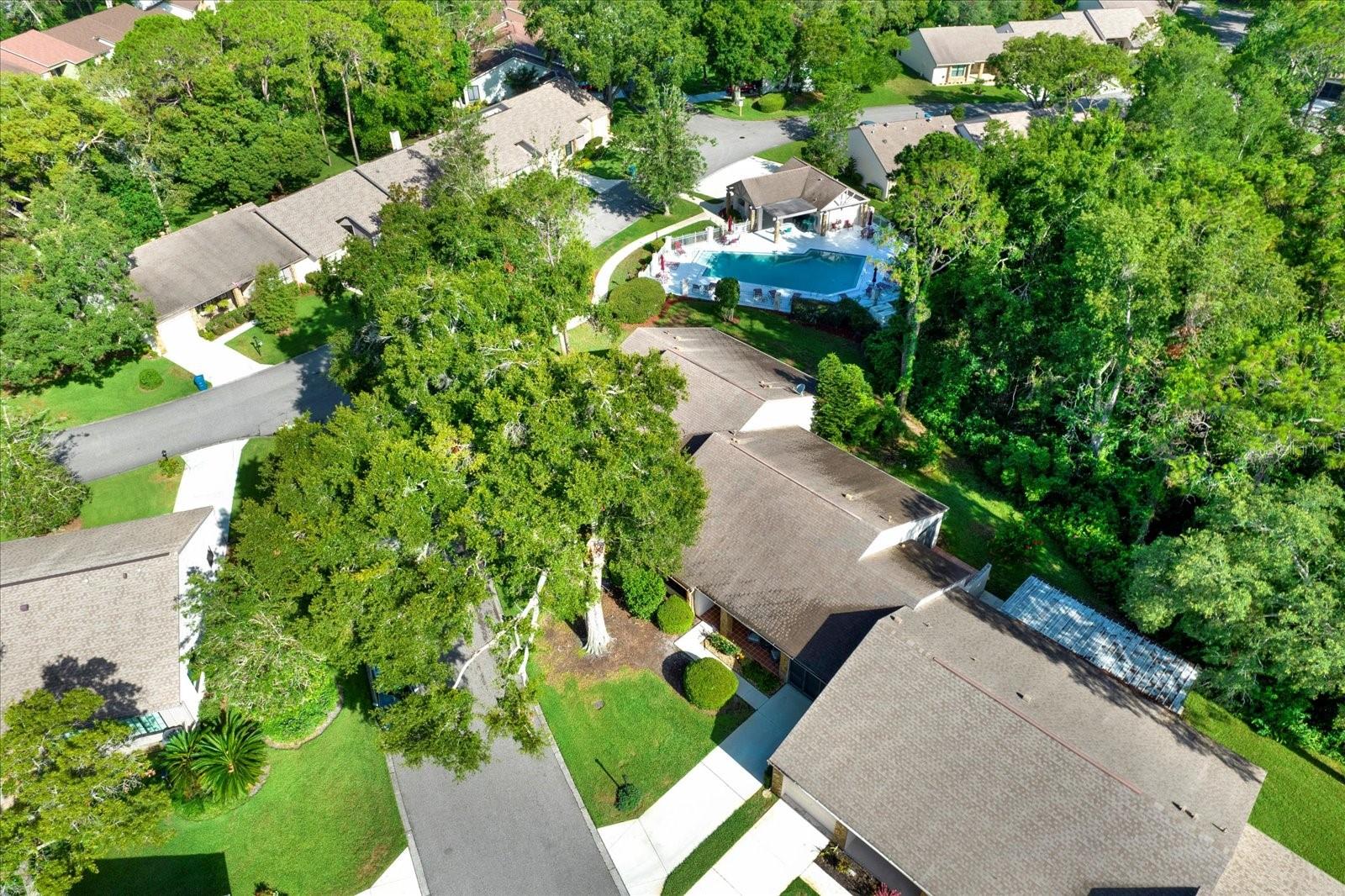 Image 22 of 27 For 6654 Brambleleaf Drive