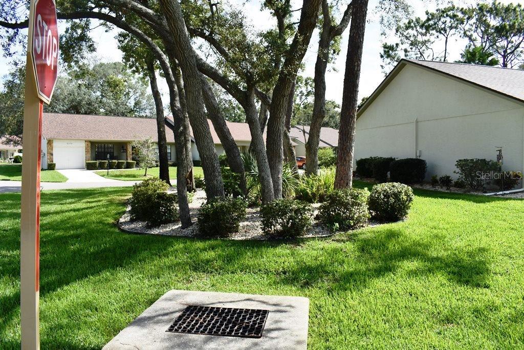 Image 42 of 51 For 6575 Brambleleaf Drive