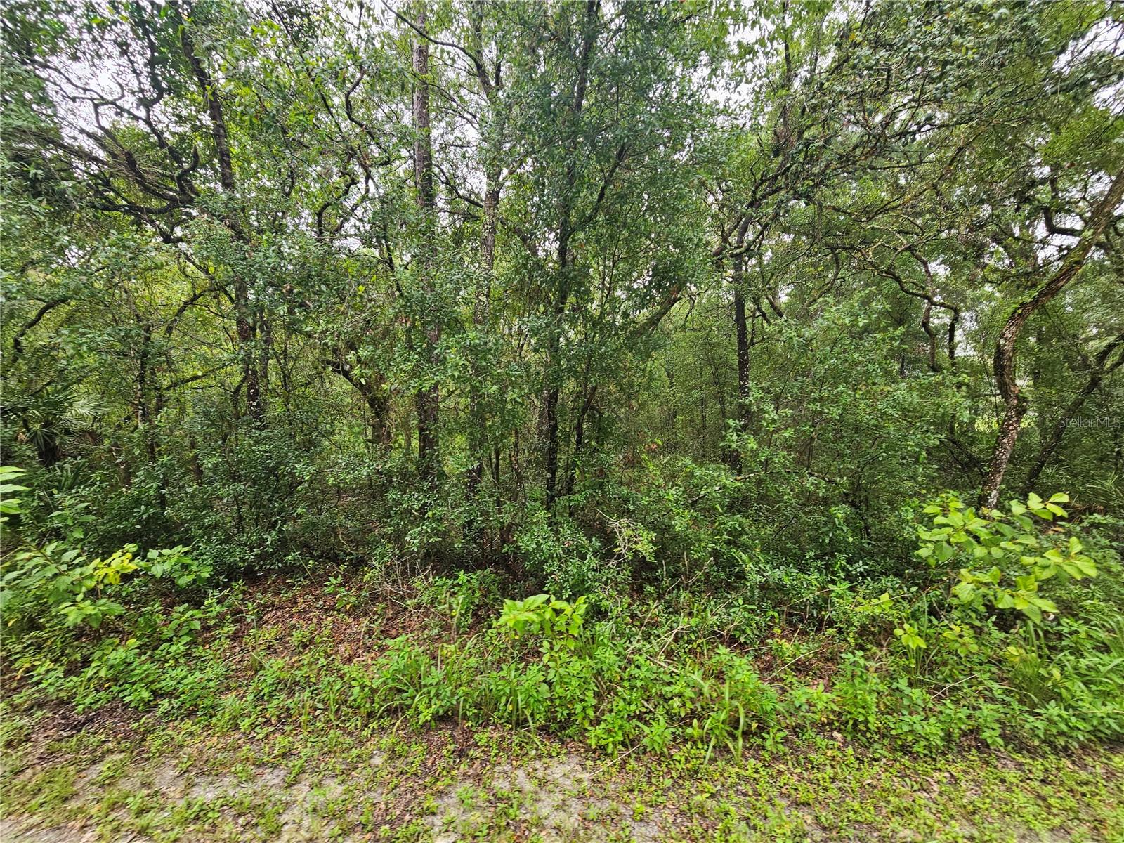 Image 10 of 11 For 7118 Norway Street