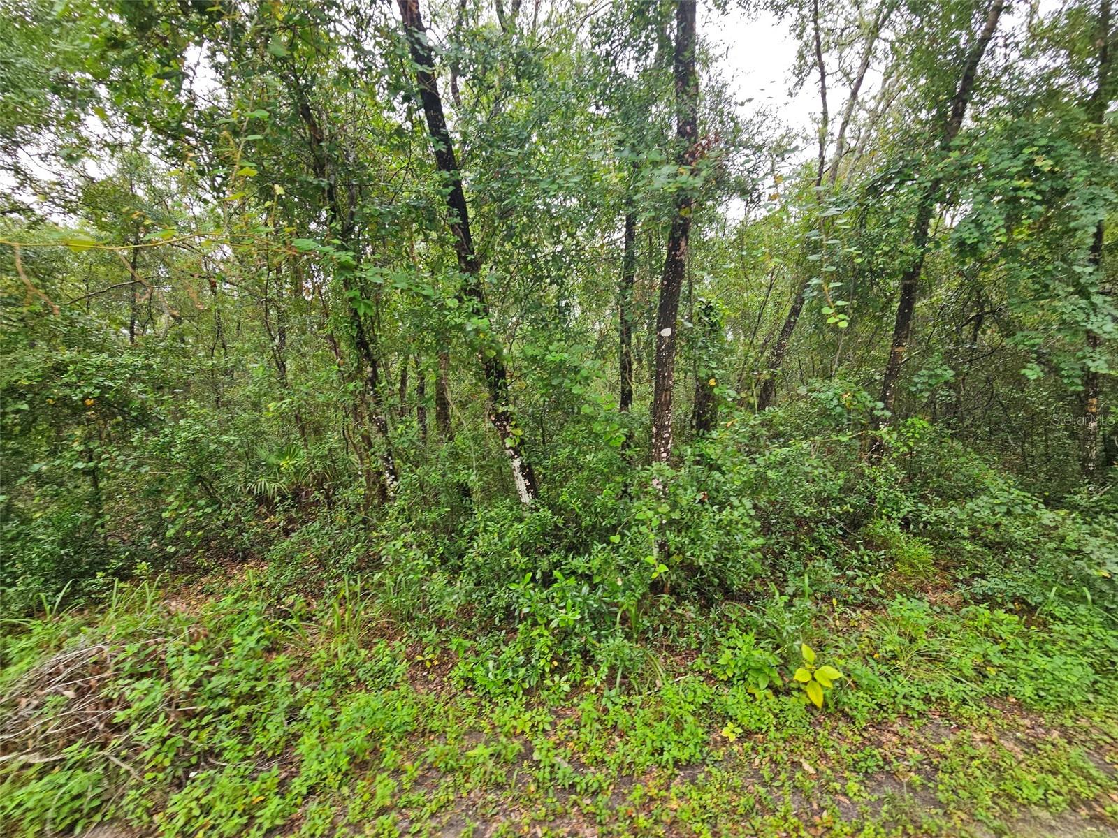 Image 5 of 11 For 7118 Norway Street
