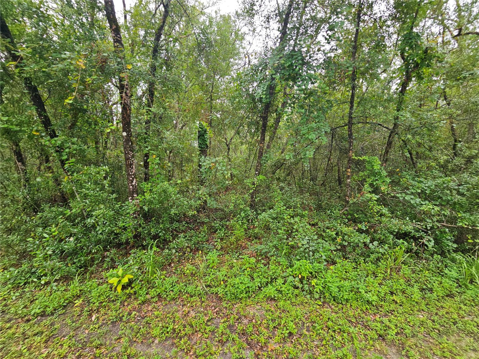 Image 6 of 11 For 7118 Norway Street