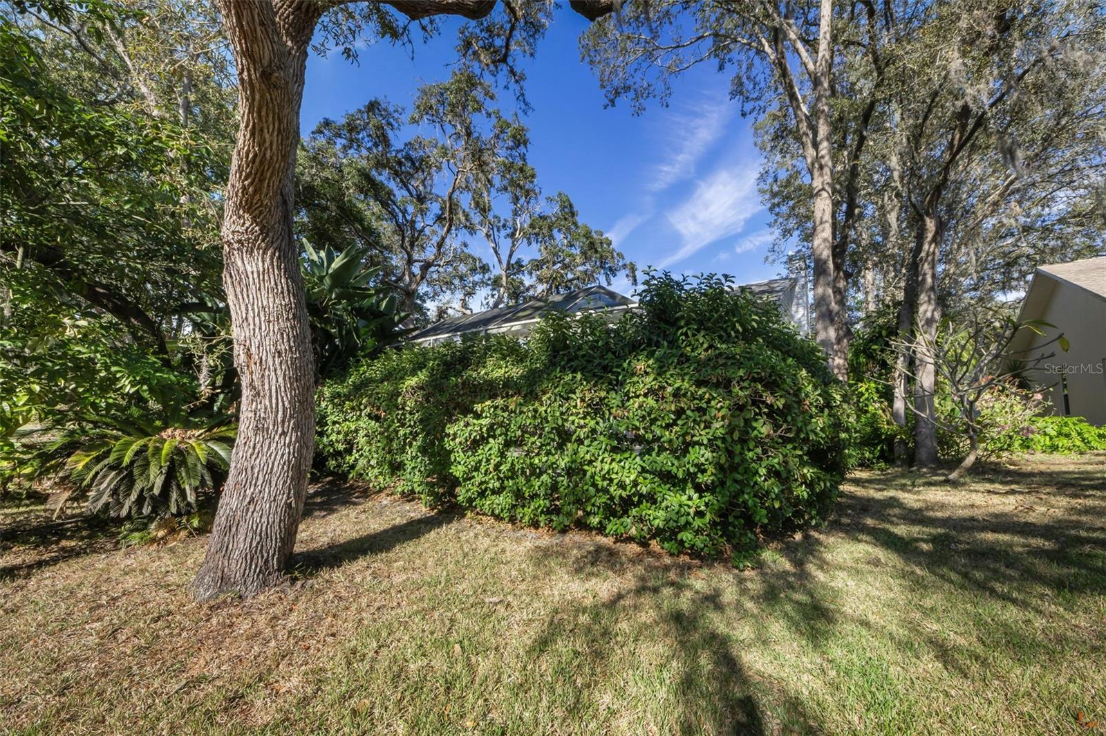 Image 62 of 82 For 8057 Moonlight Lane