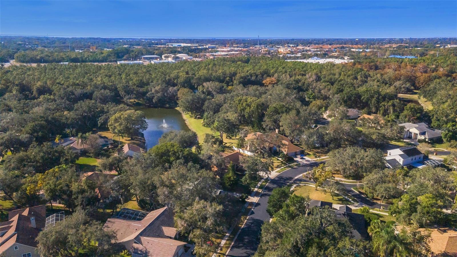 Image 64 of 82 For 8057 Moonlight Lane