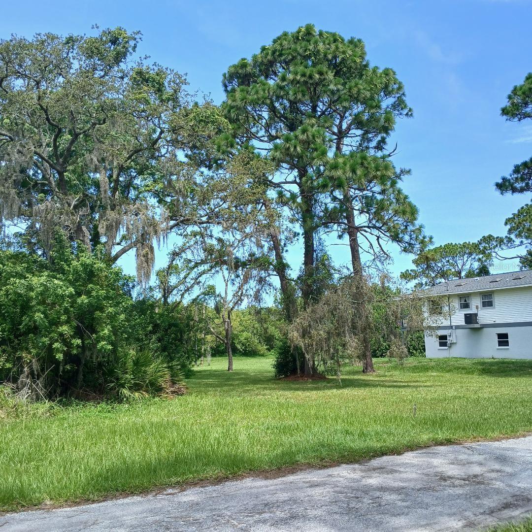 Image 6 of 6 For  Lyle Circle 