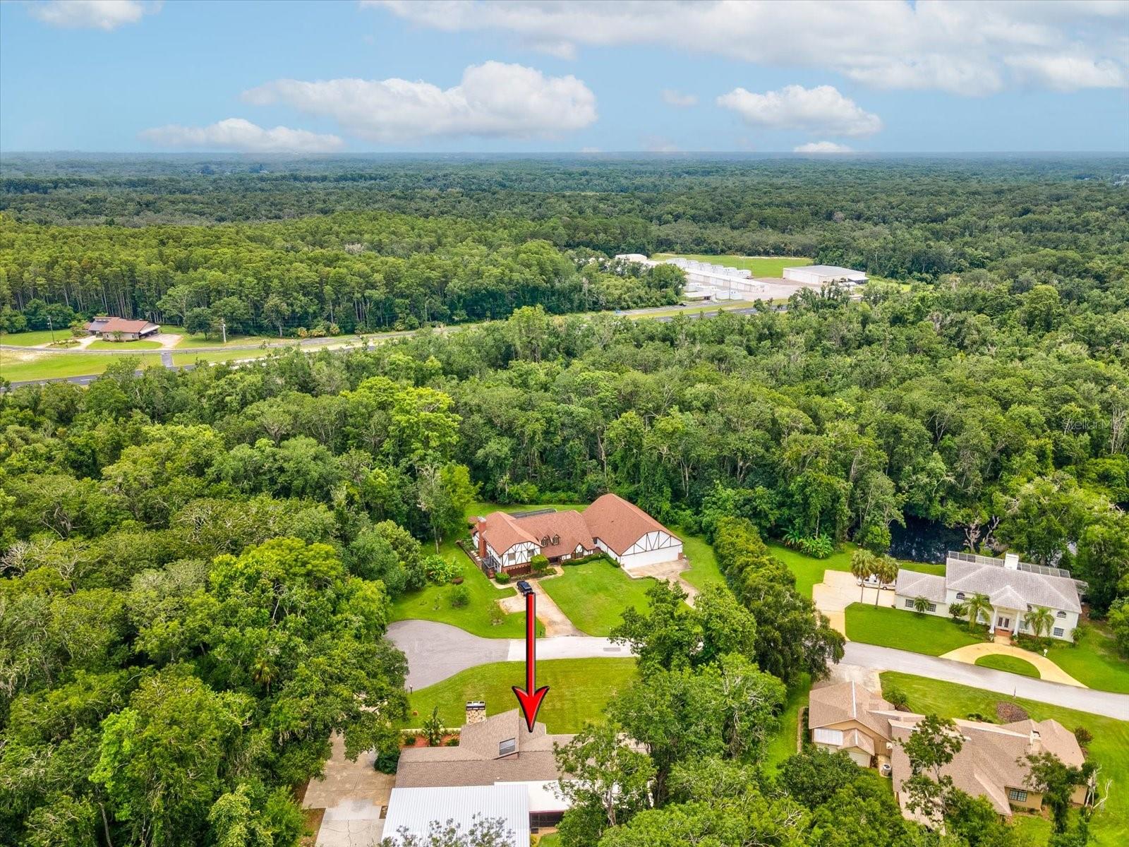 Listing photo id 77 for 10720 Skyhawk Drive