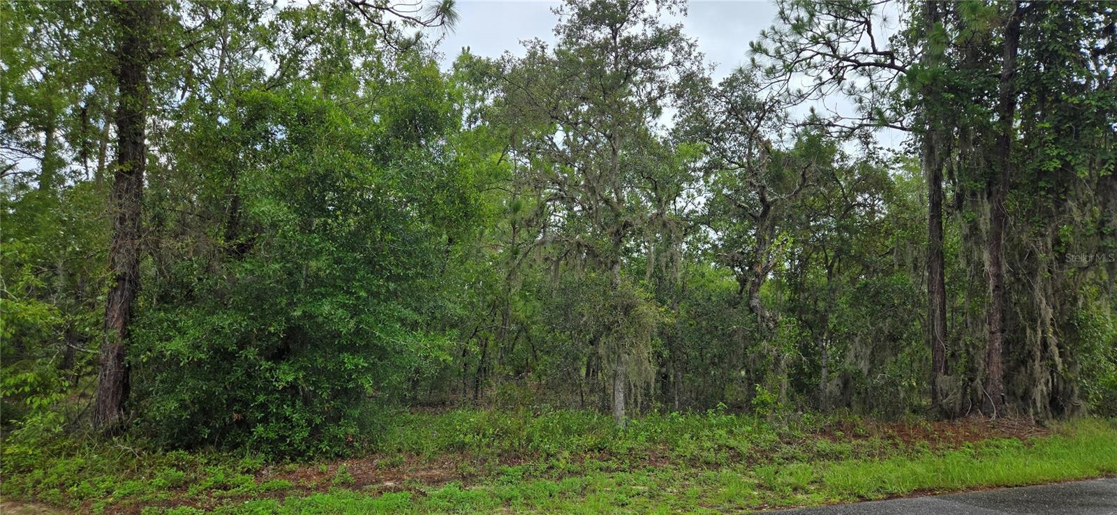 Details for 1308 Prospect Avenue, LECANTO, FL 34461