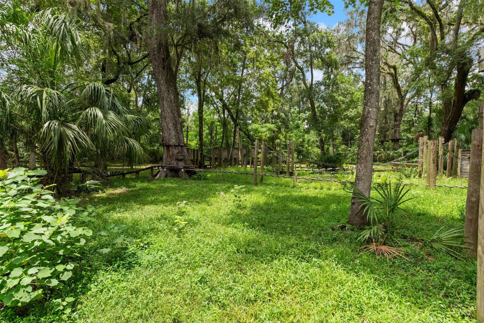 Listing photo id 38 for 6440 Cedar Lane