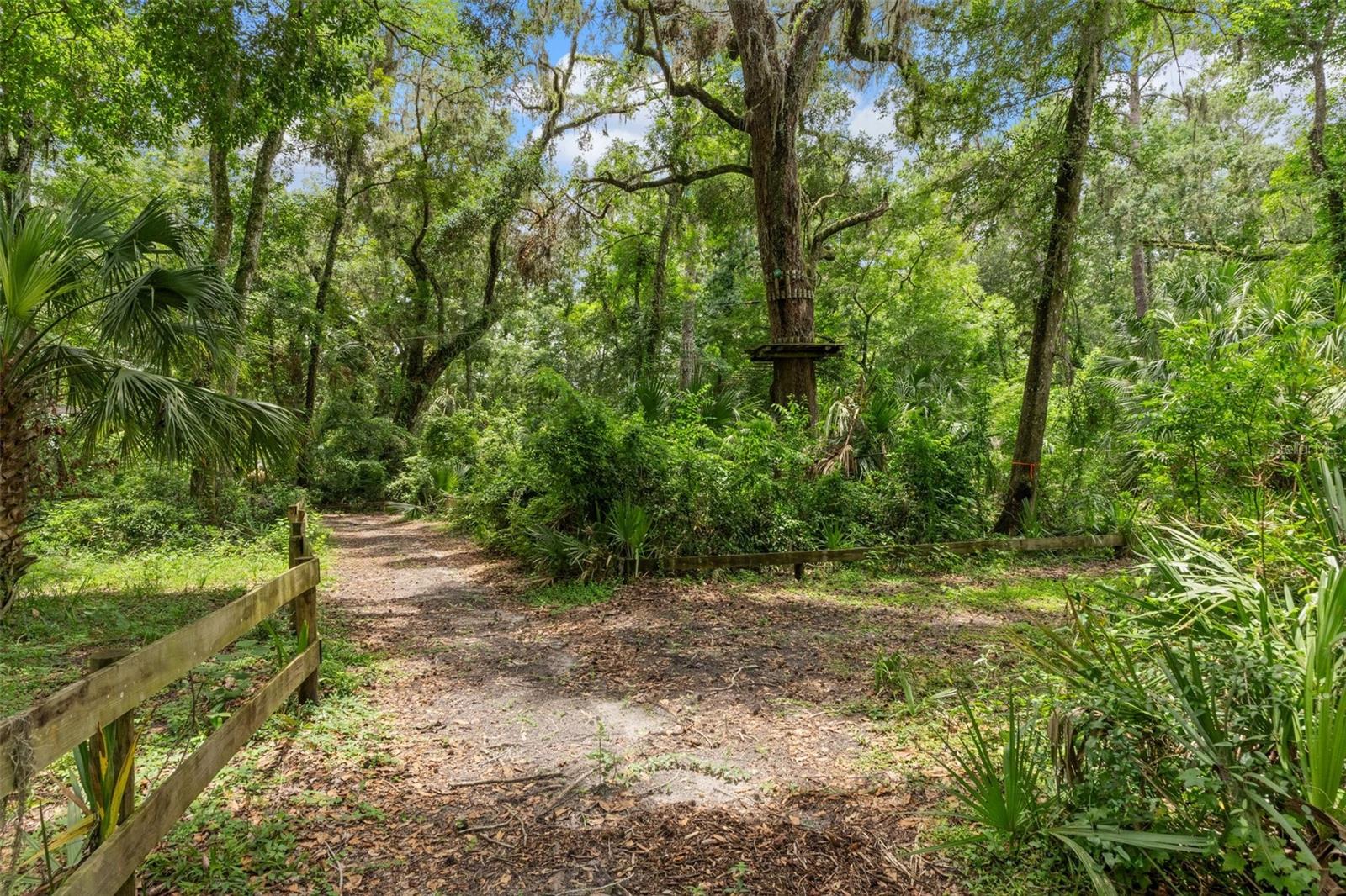 Listing photo id 40 for 6440 Cedar Lane