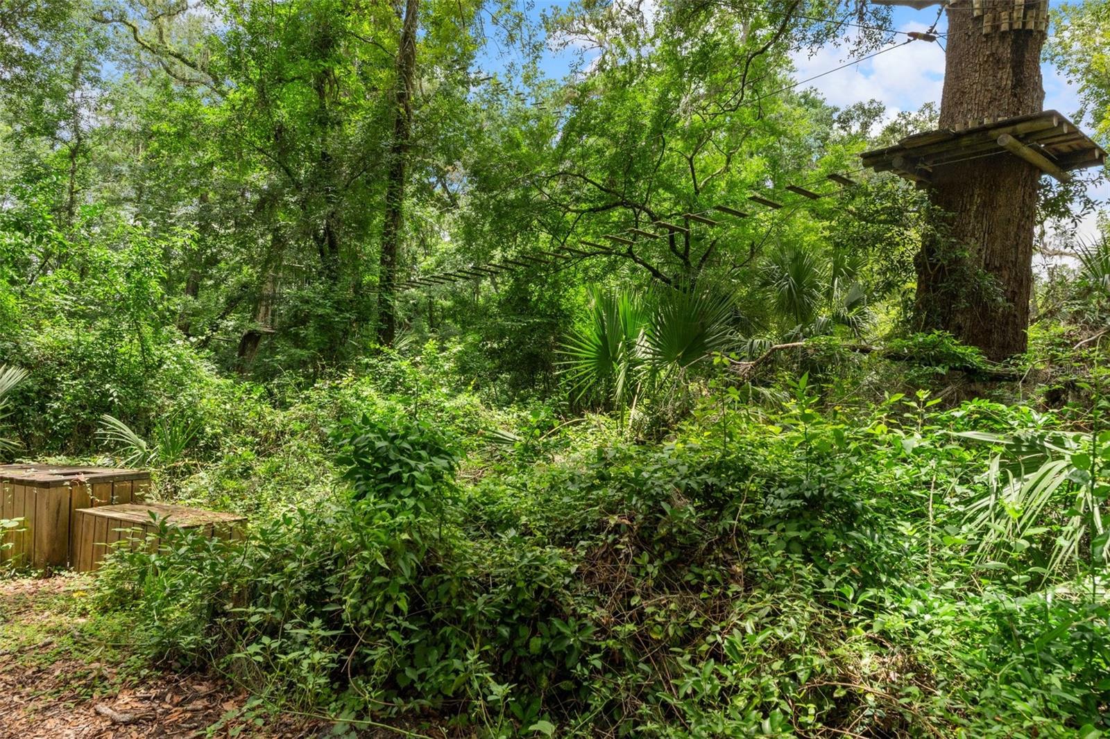 Listing photo id 42 for 6440 Cedar Lane