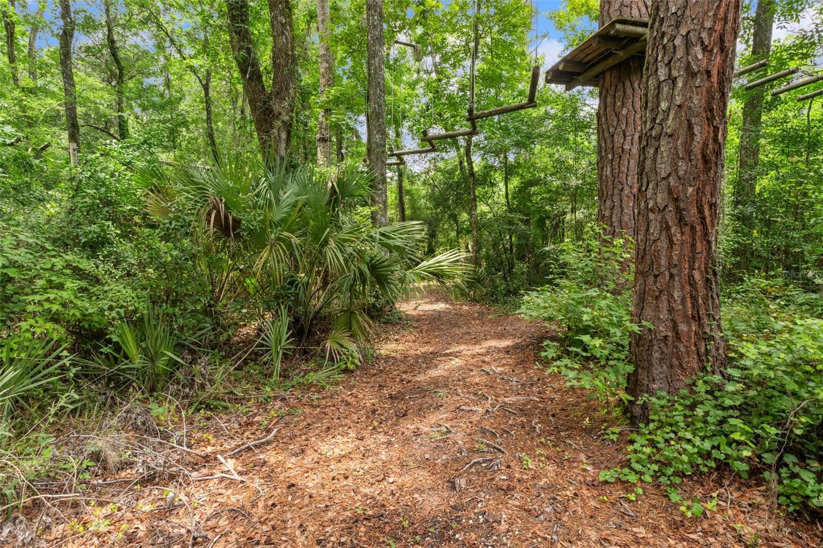 Listing photo id 45 for 6440 Cedar Lane