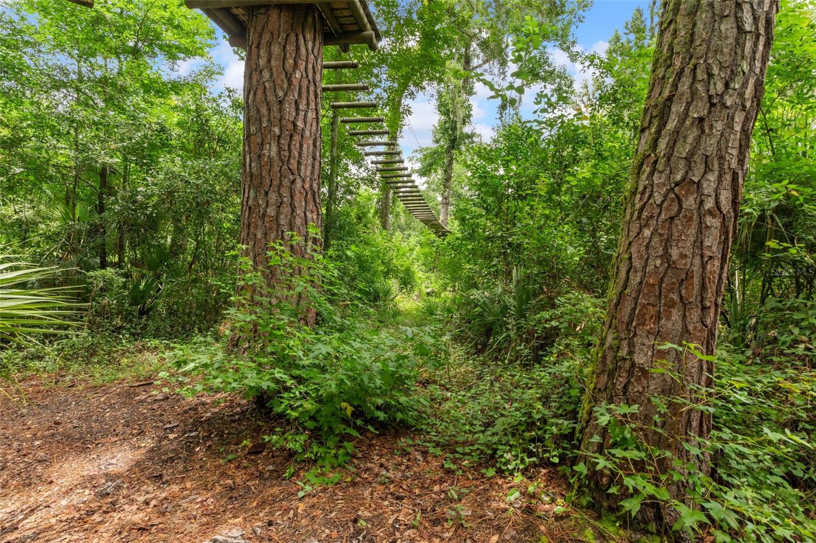 Listing photo id 46 for 6440 Cedar Lane