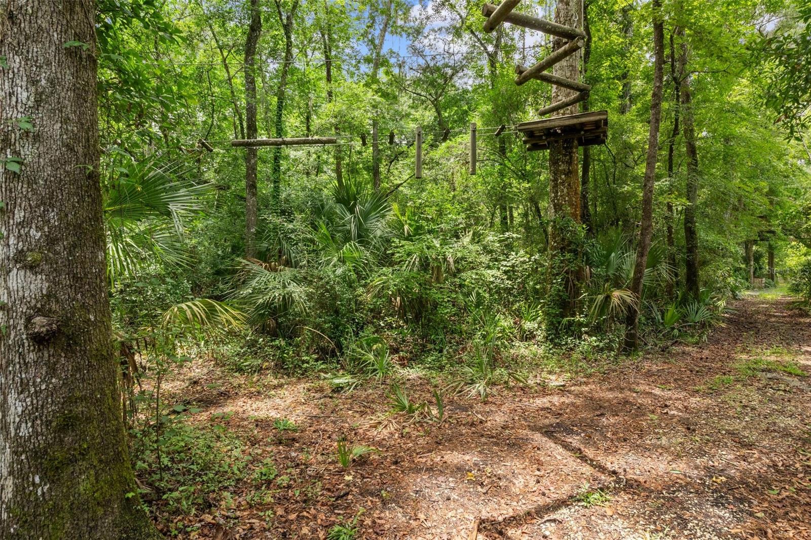 Listing photo id 47 for 6440 Cedar Lane