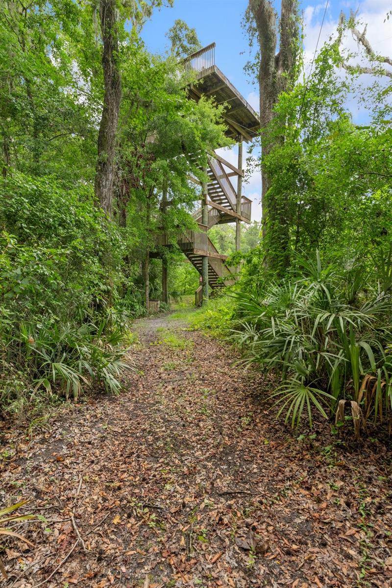 Listing photo id 49 for 6440 Cedar Lane