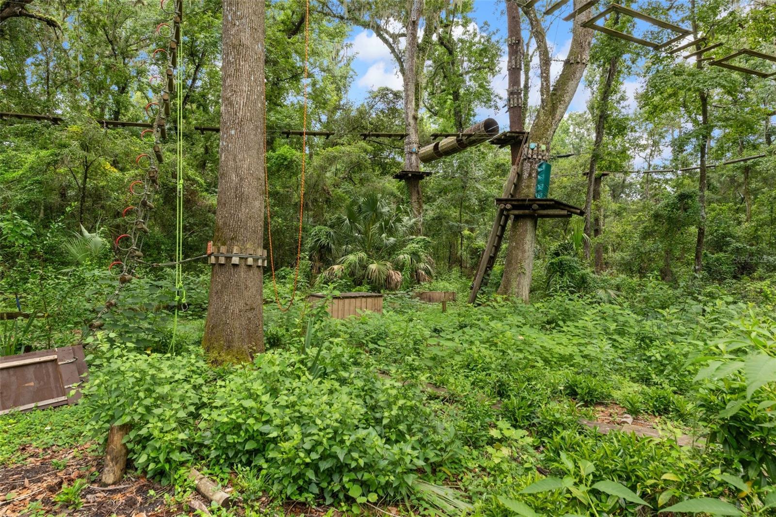 Listing photo id 56 for 6440 Cedar Lane