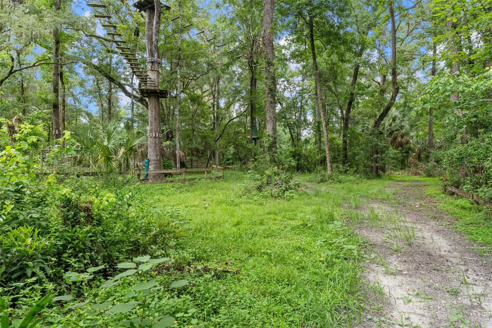 Listing photo id 61 for 6440 Cedar Lane