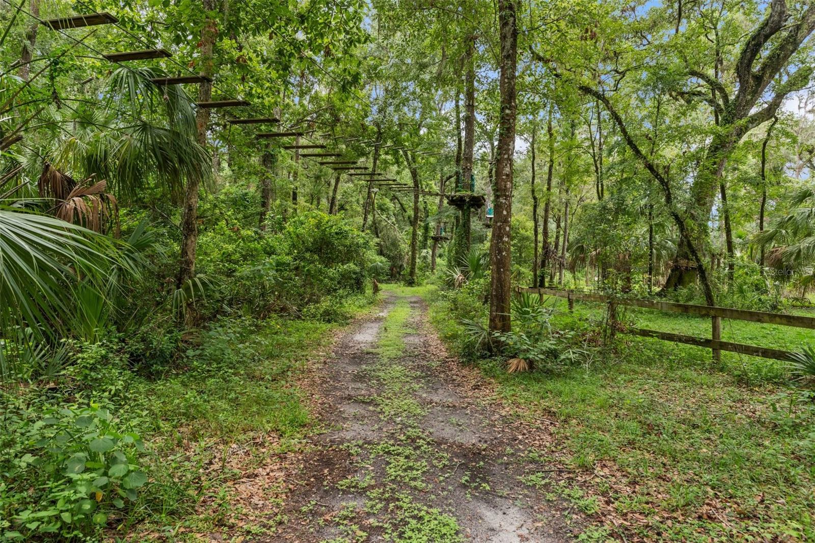 Listing photo id 66 for 6440 Cedar Lane