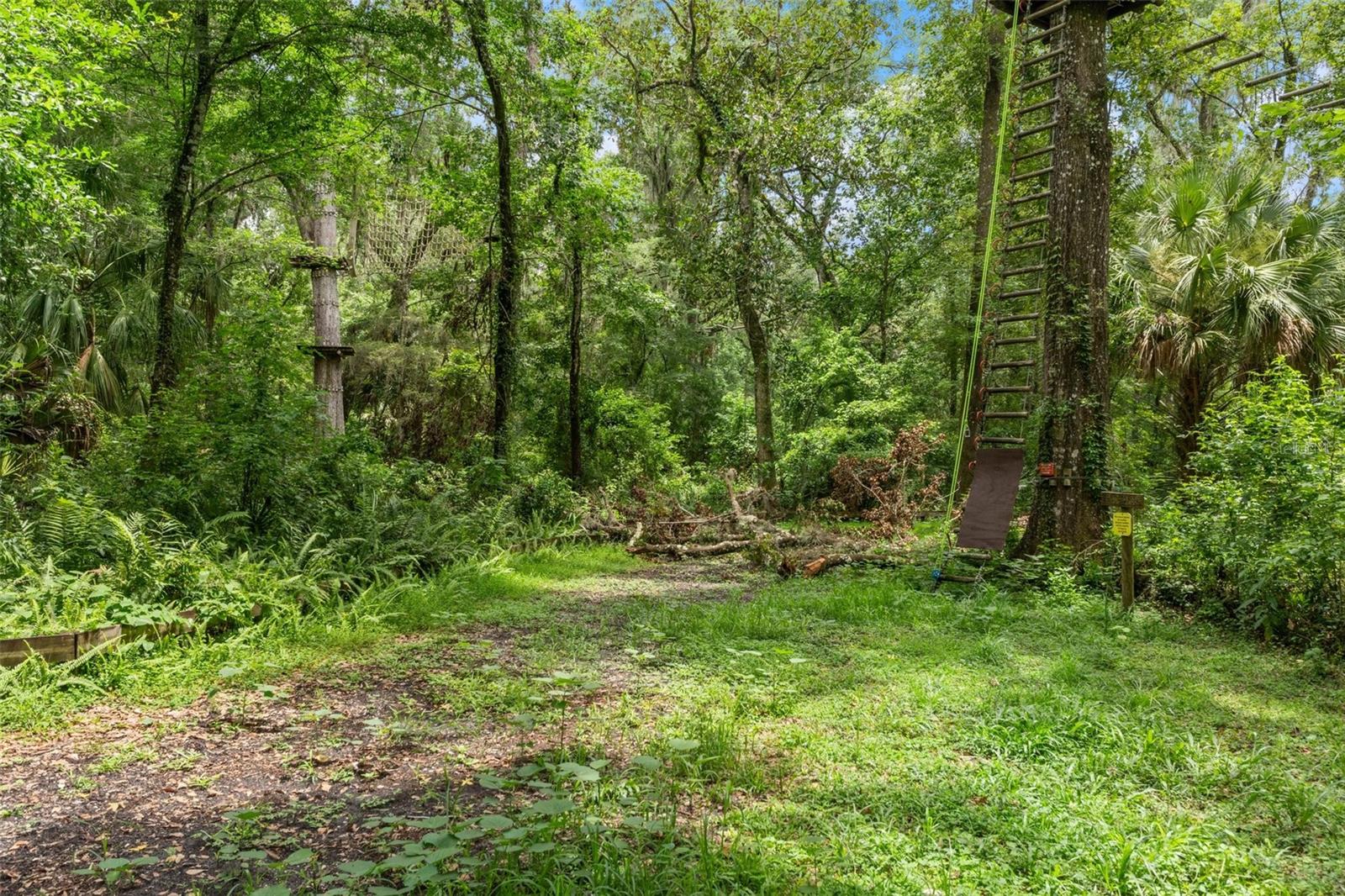 Listing photo id 72 for 6440 Cedar Lane