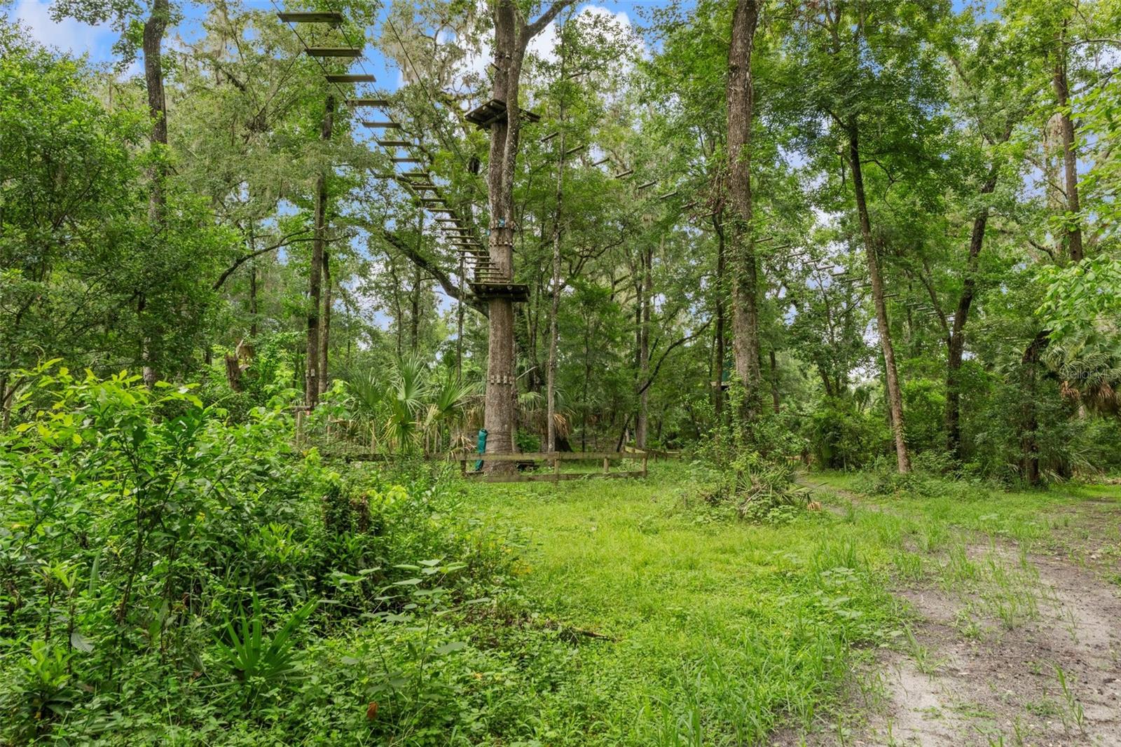 Listing photo id 85 for 6440 Cedar Lane