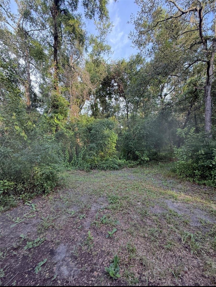 Listing Details for 12300 Walter Street, HUDSON, FL 34669