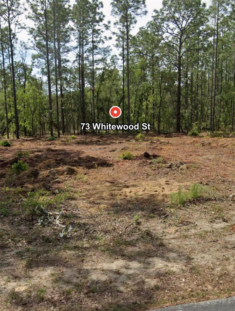 Details for 73 Whitewood Street, HOMOSASSA, FL 34446