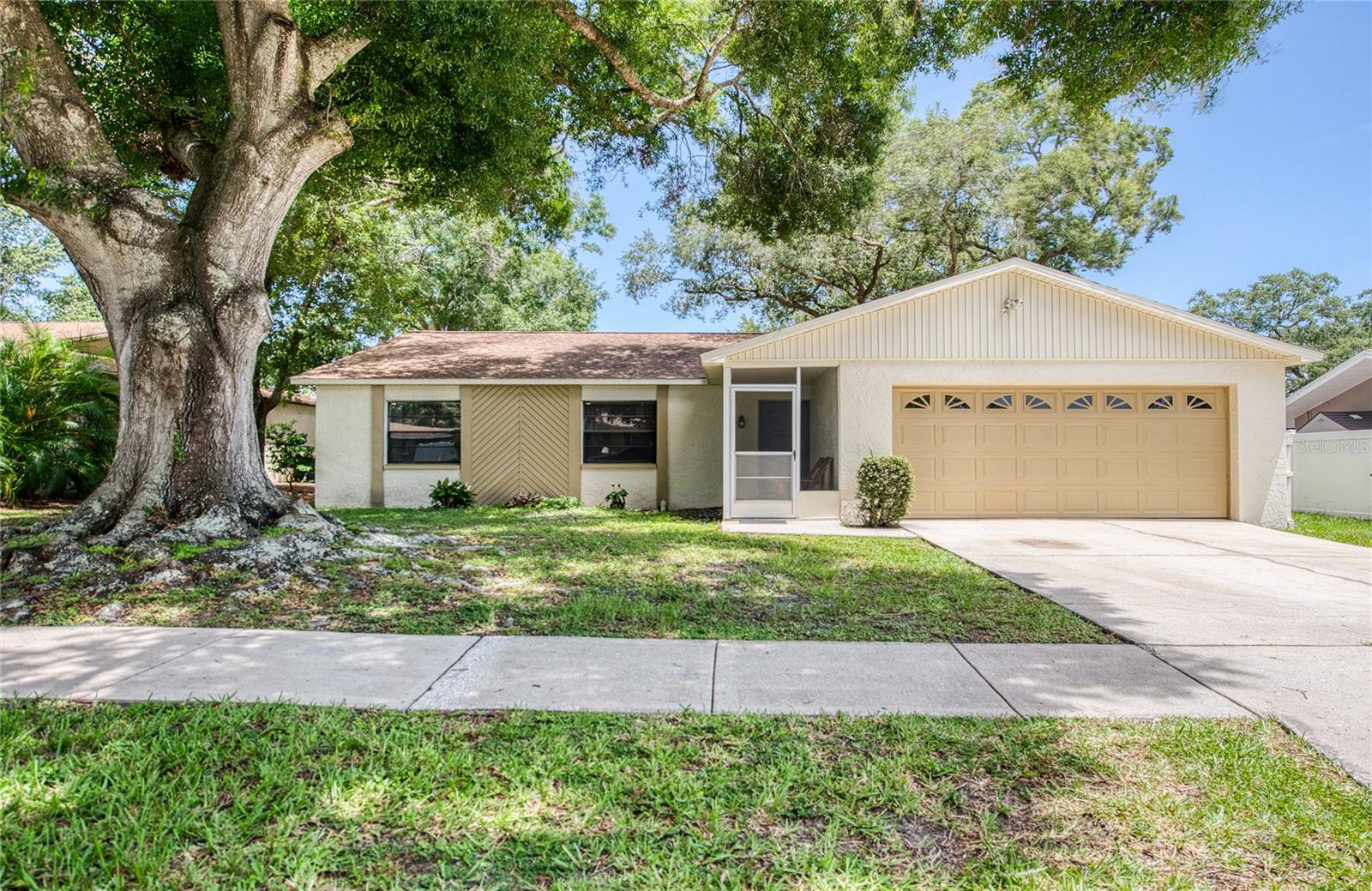 Details for 213 Lotus Drive, SAFETY HARBOR, FL 34695