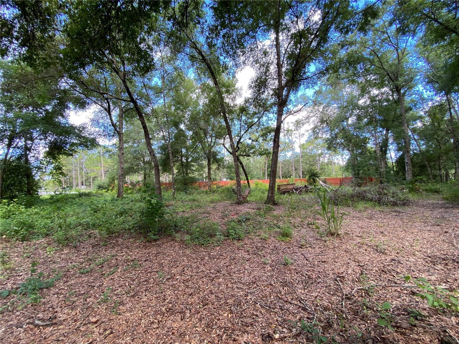 Image 44 of 49 For 14642 Pauline Drive