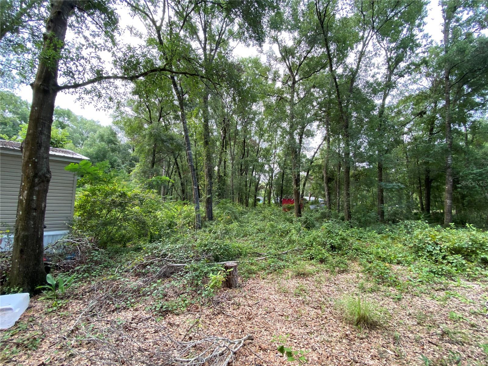 Image 45 of 49 For 14642 Pauline Drive