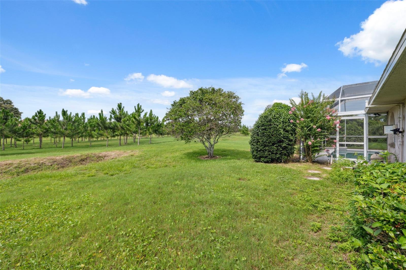 Listing photo id 35 for 8921 Kilmer Way