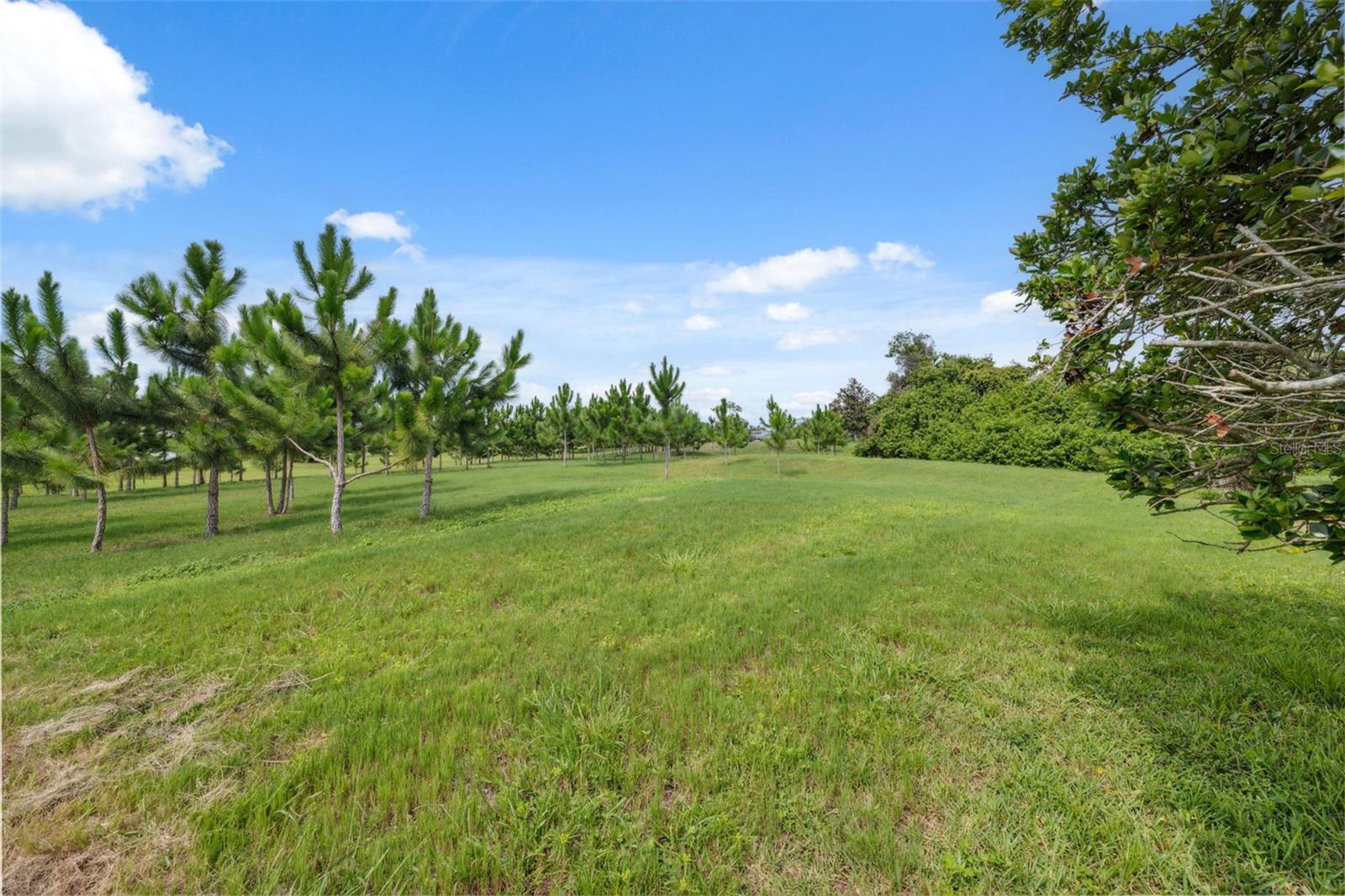 Listing photo id 36 for 8921 Kilmer Way