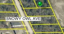 Details for 0 Snowy Owl Avenue, BROOKSVILLE, FL 34614