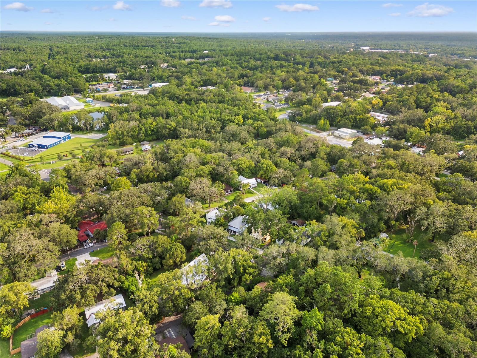Image 8 of 35 For 408 Brooksville Avenue