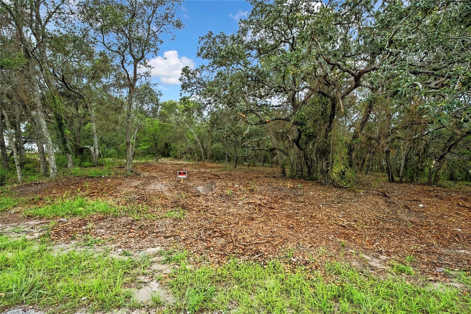 Image 11 of 17 For 18933 Old Shady Hills Road