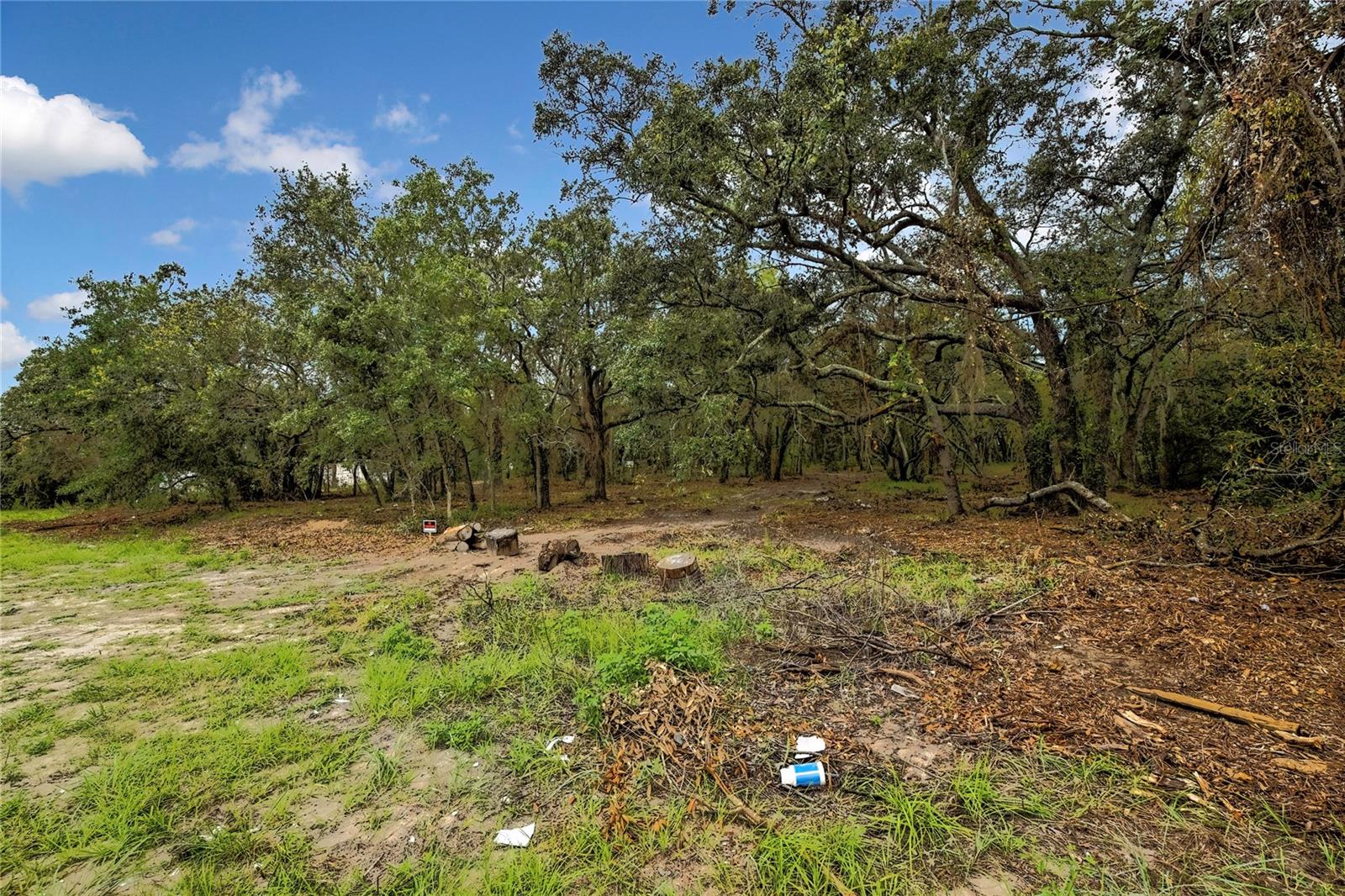 Image 15 of 17 For 18933 Old Shady Hills Road