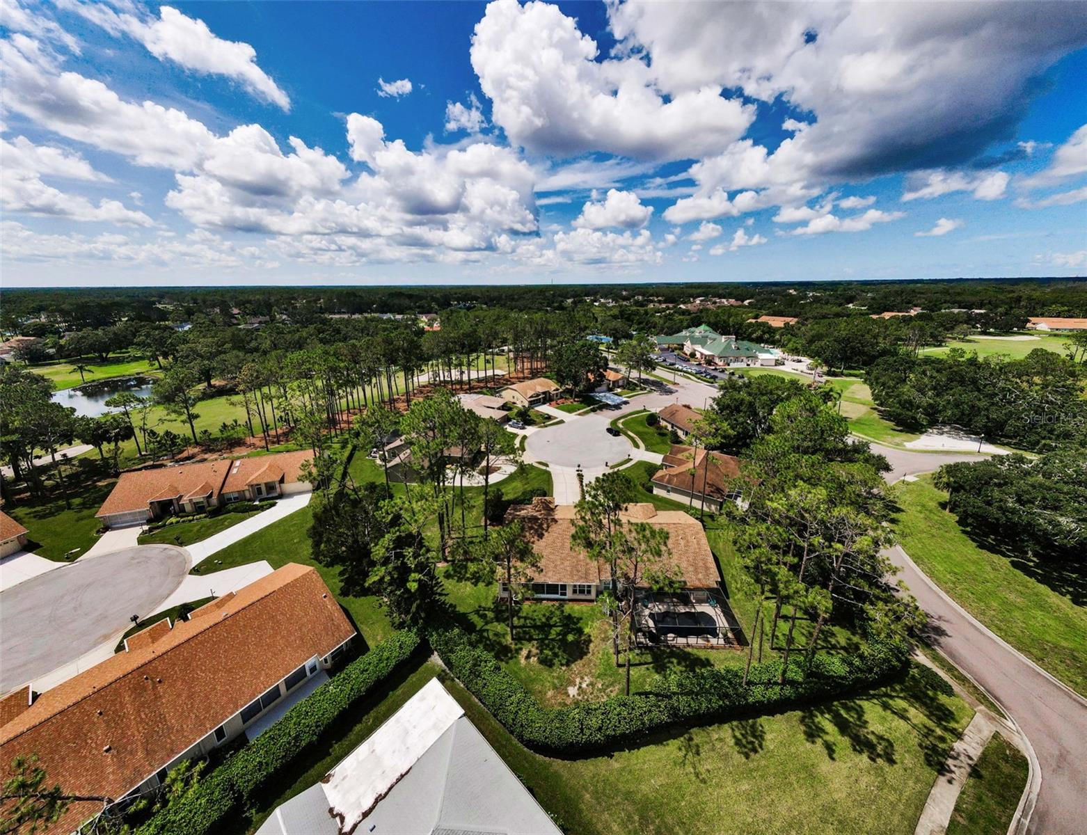 Image 3 of 60 For 9519 Scenic Pine Court