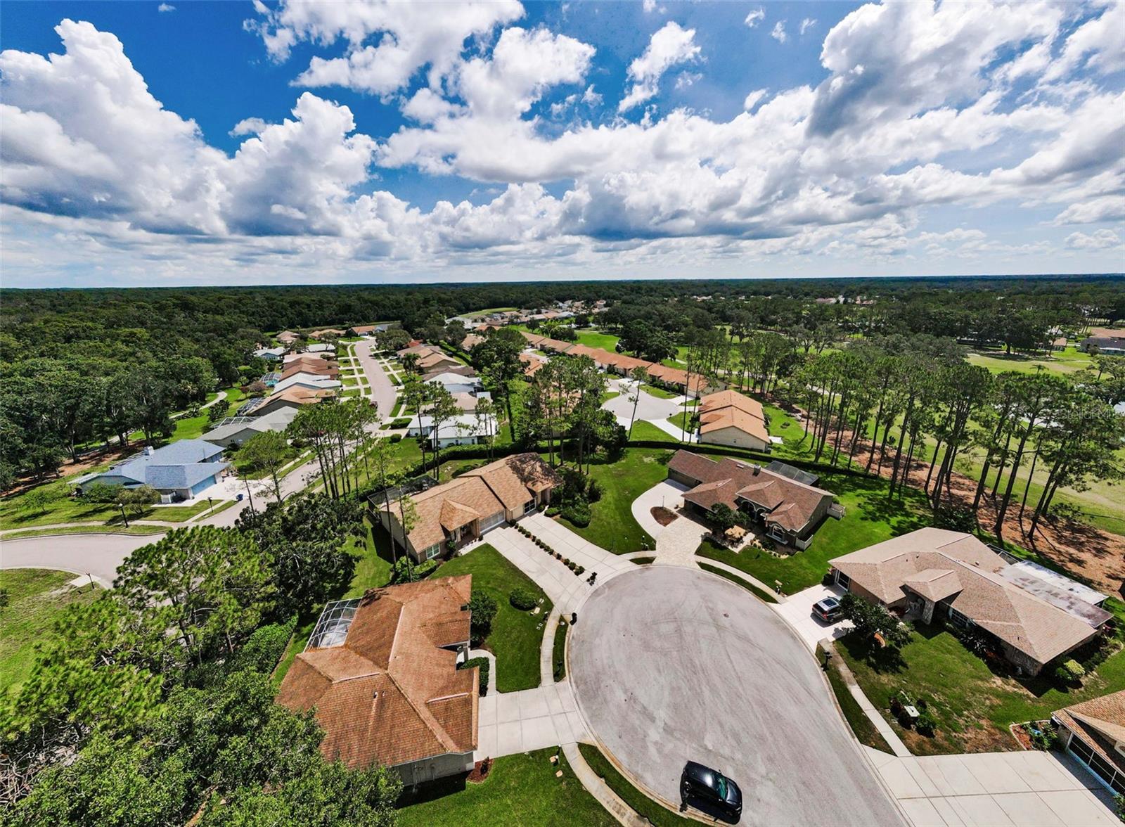 Image 38 of 60 For 9519 Scenic Pine Court