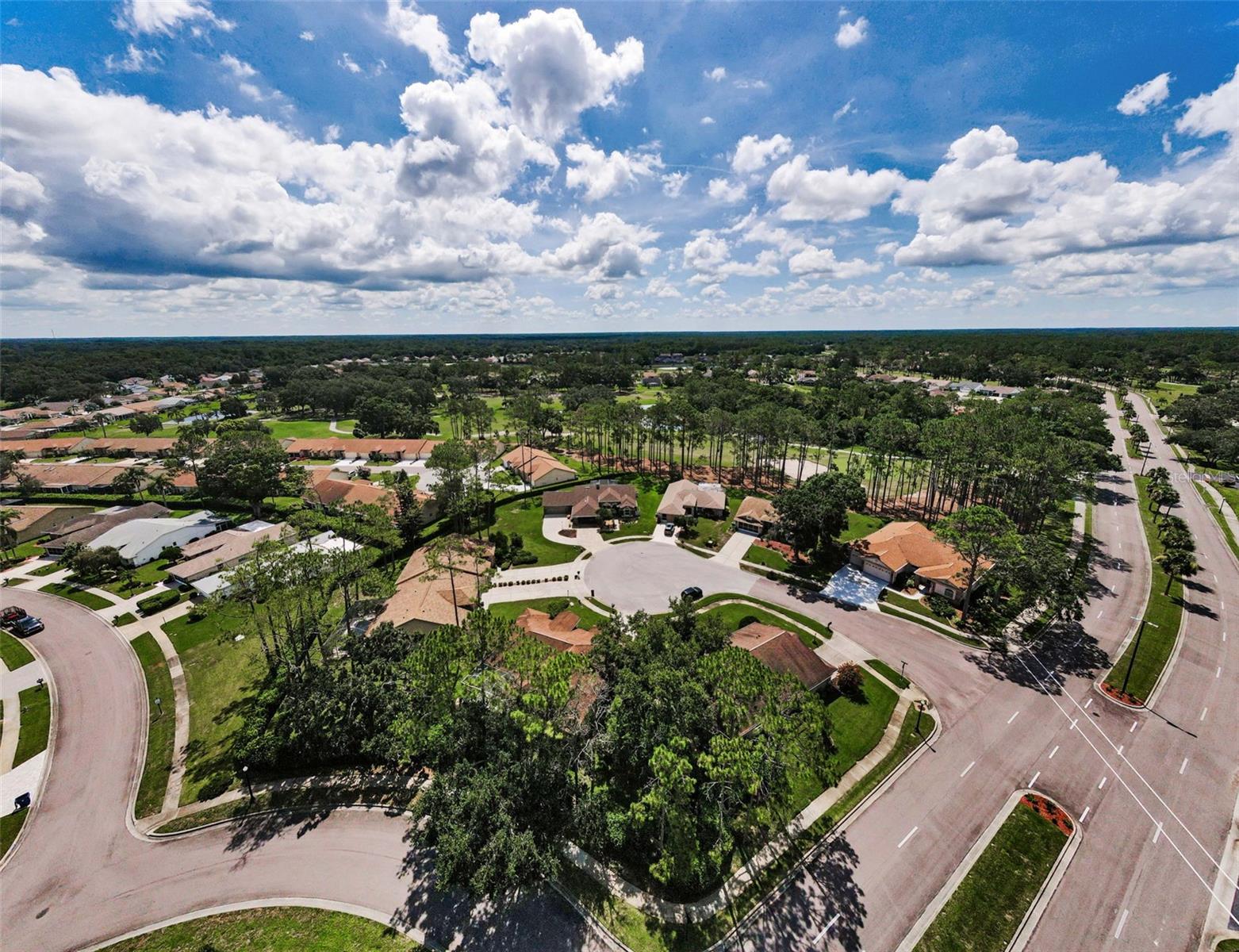 Image 41 of 60 For 9519 Scenic Pine Court